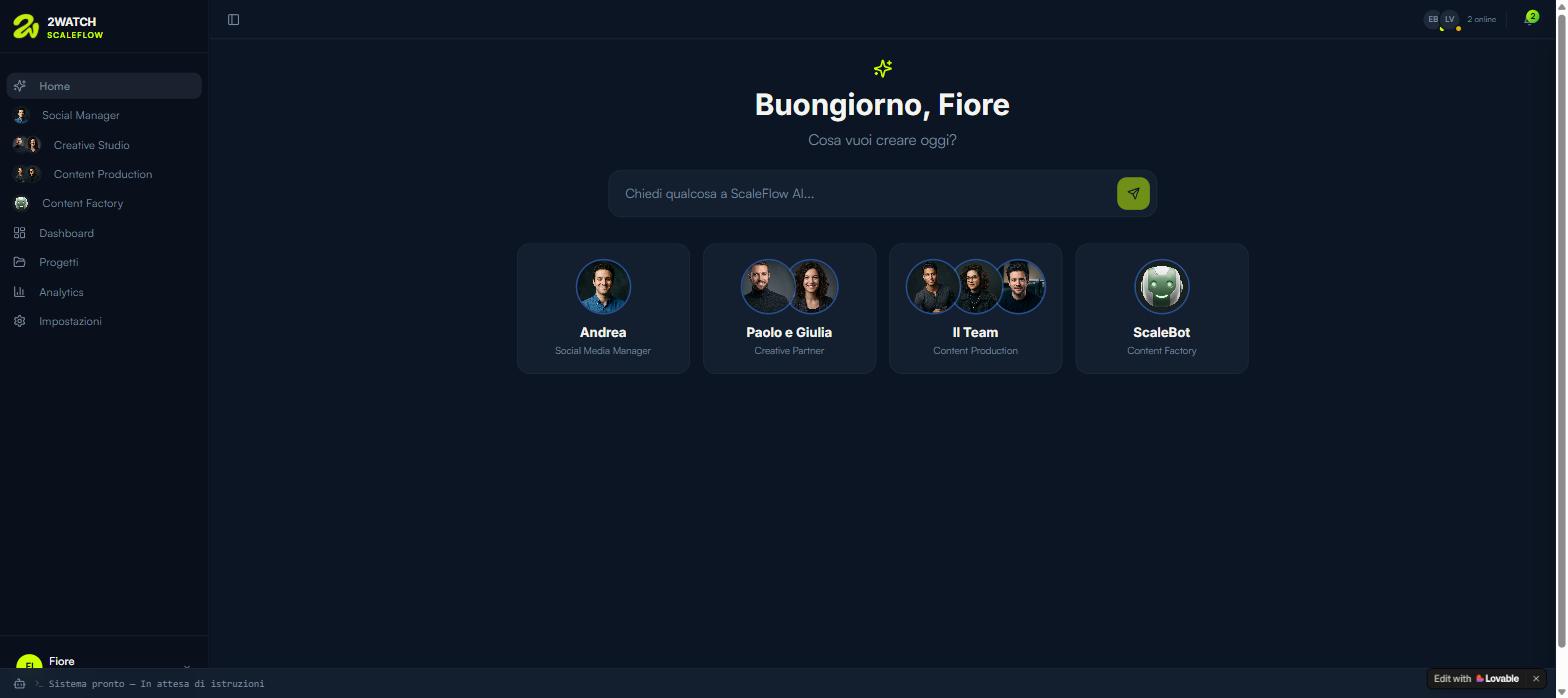 Scaleflow interface preview